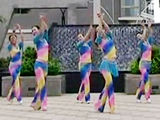 《瑞金丽萍广场舞爱情一阵风》含正反面演示和分解动作示范