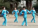 《周思萍广场舞情歌唱到老》2013最新广场舞