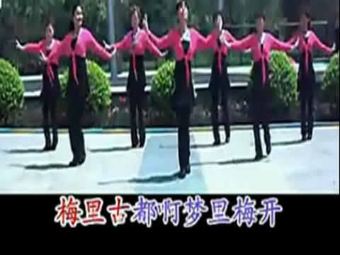 2014幸福天天广场舞胡琴情缘一步一步教正背面教学分解动作学跳舞