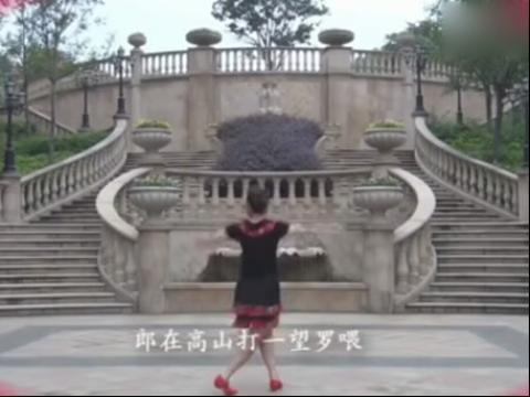 2014丁建女广场舞江南style28快节奏骑马舞蹈