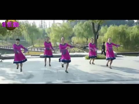 2014紫紫雨广场舞雪山姑娘一步一步教正背面教学分解动作学跳舞