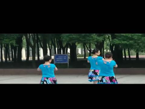 2014太阳花广场舞火火的姑娘一步一步教正背面教学分解动作学跳舞