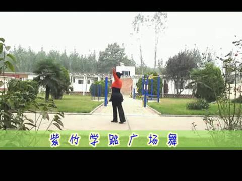 2014新密紫竹广场舞姑娘你有没有想我