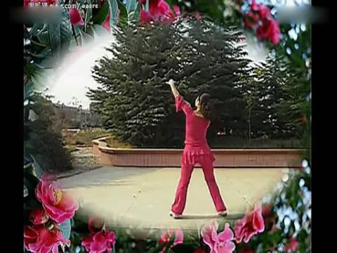2014天姿广场舞茶香中国一步一步教正背面教学分解动作学跳舞