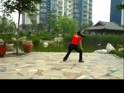 叶子广场舞蒙古之花一步一步教学跳舞