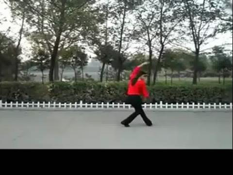 叶子广场舞火红的萨日朗一步一步教正背面教学分解动作学跳舞
