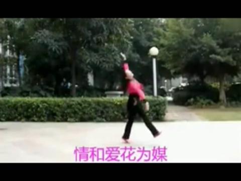 曾惠林广场舞芦花一步一步教正背面教学分解动作学跳舞
