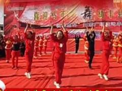 応子广场舞专辑 応子广场舞教学视频